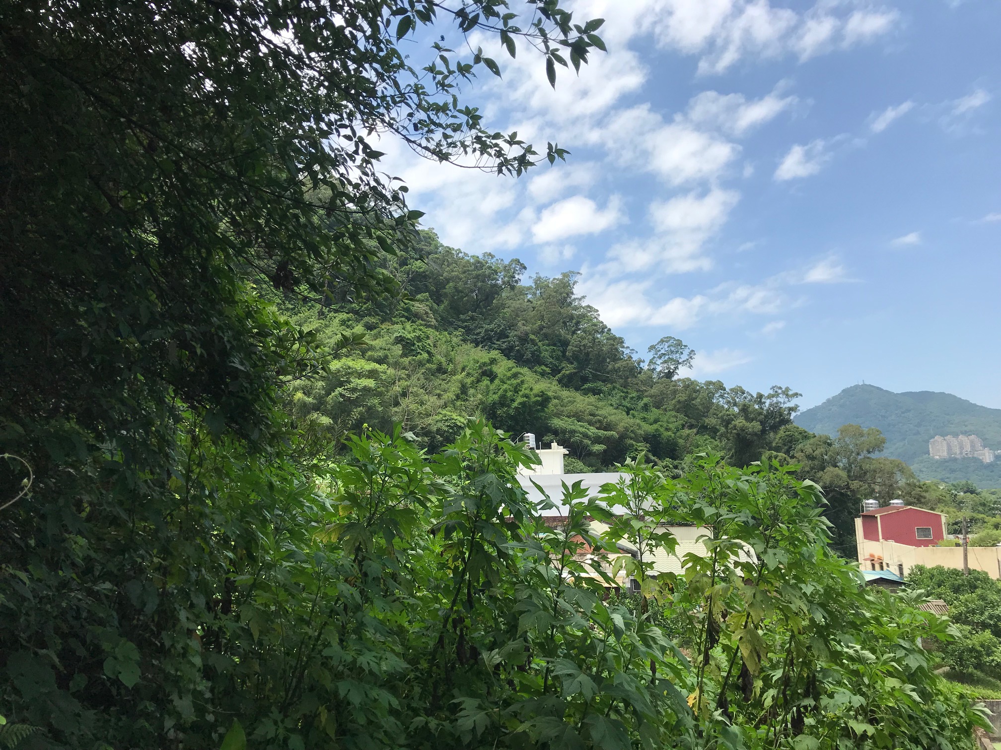 物件圖 6