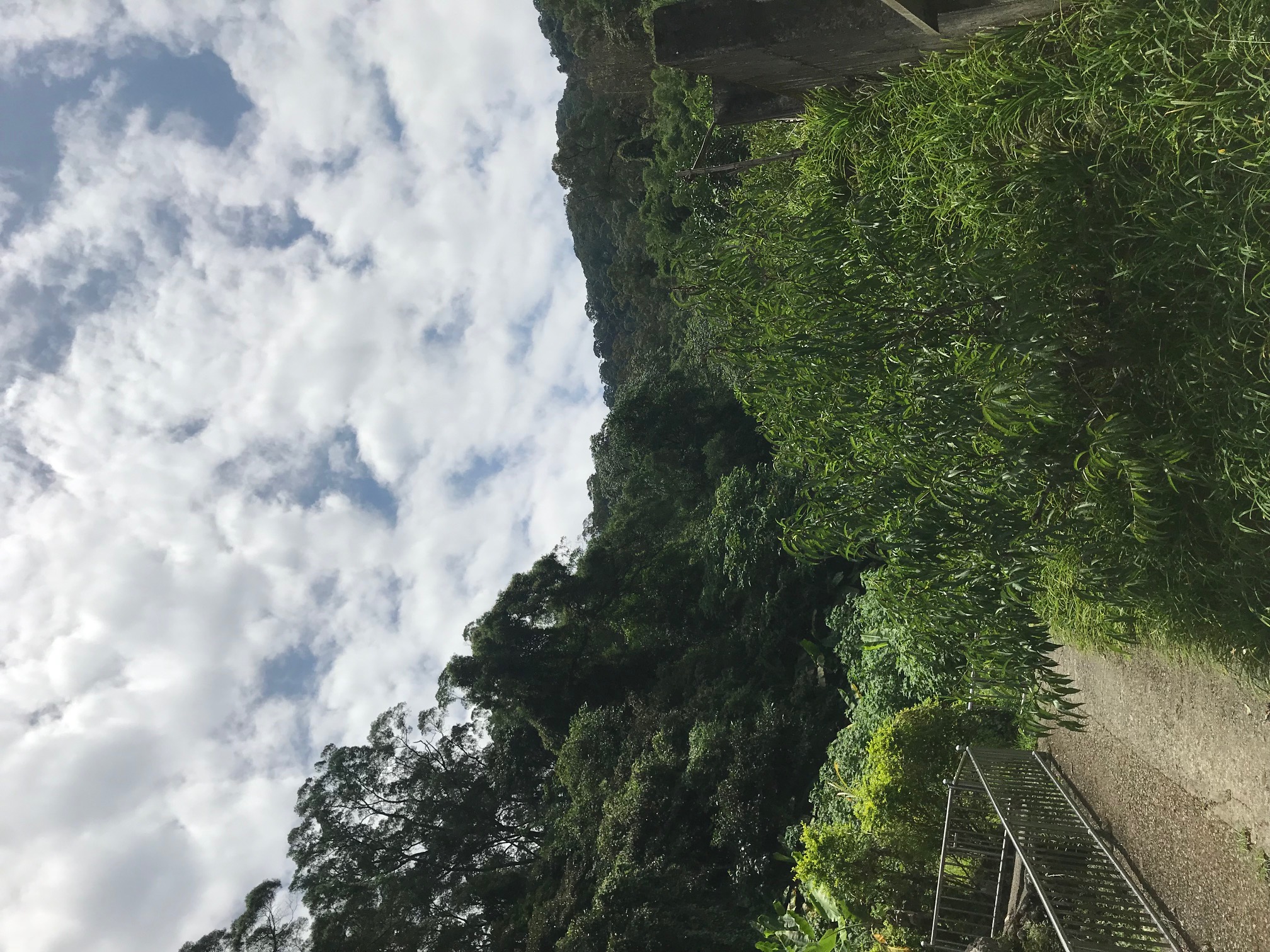 物件圖 8