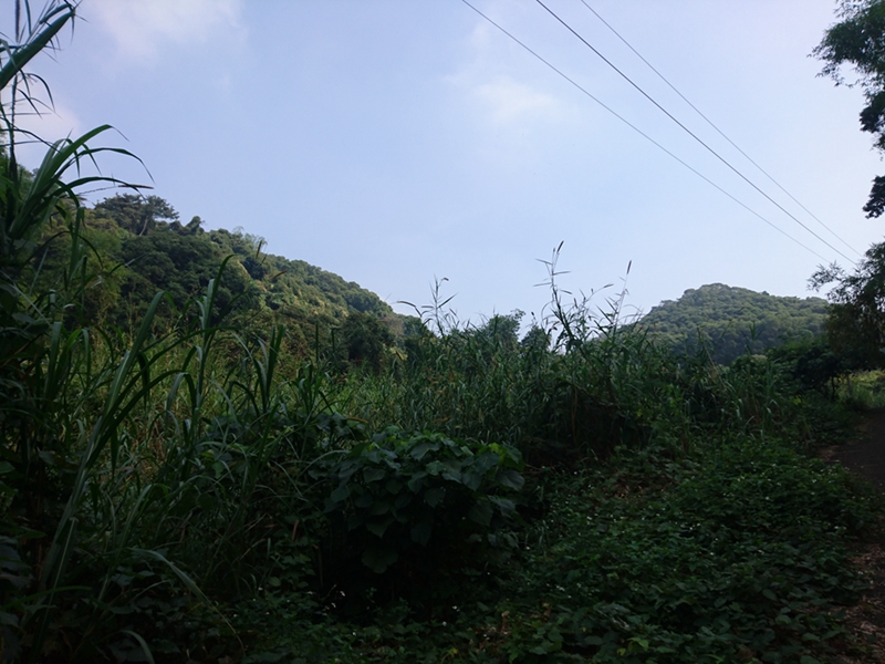物件圖 2