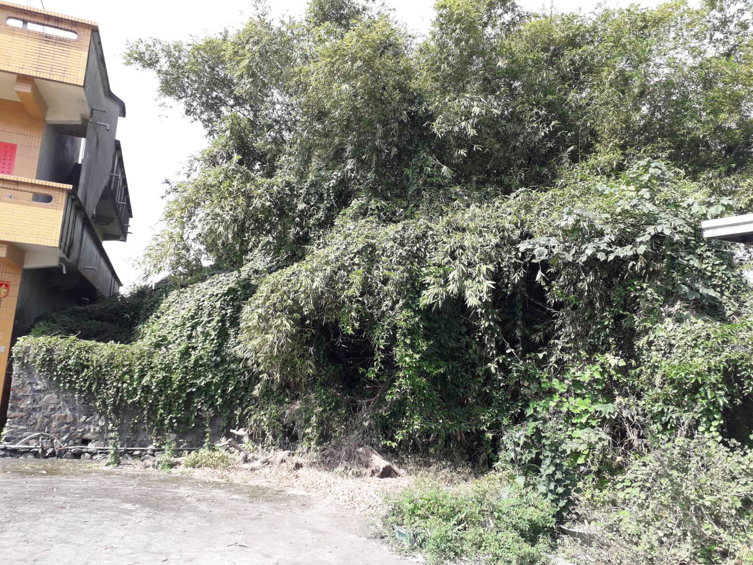 宜蘭縣 三星鄉